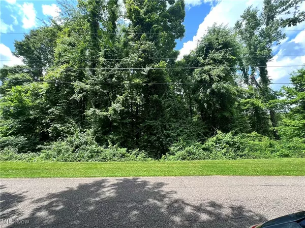 Chestnut RD, Bellaire, OH 43906