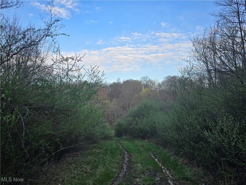 Township Rd 375, Warsaw, OH 43844