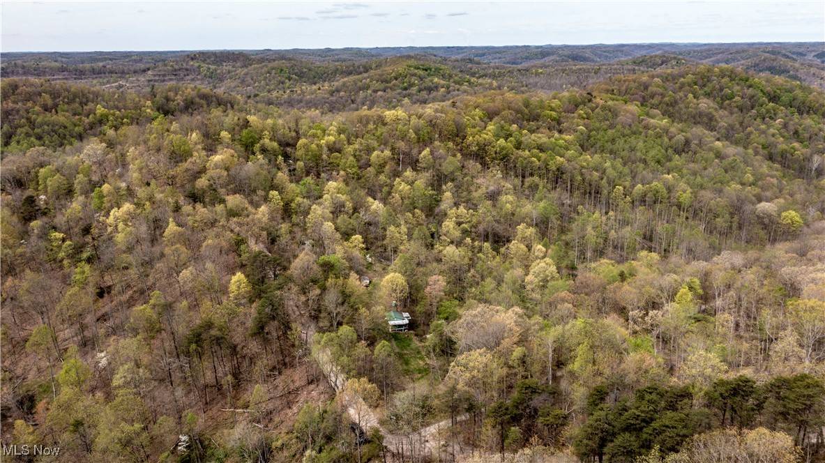 Palestine, WV 26160,4143 CONRAD RUN RD