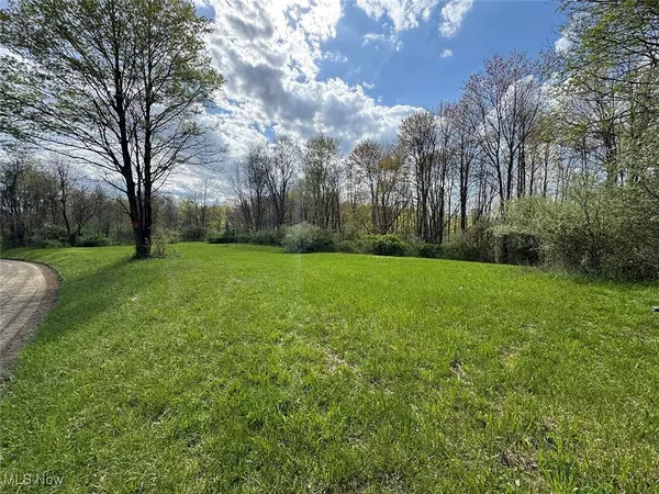 Brushy Hill RD, Jerusalem, OH 43747