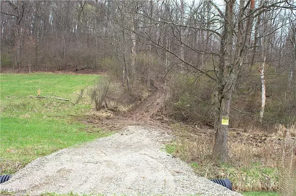 Little Buckhorn RD, Newcomerstown, OH 43832