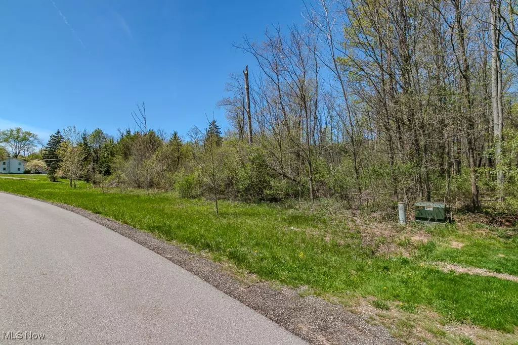 Chagrin Falls, OH 44023,Starbush CT