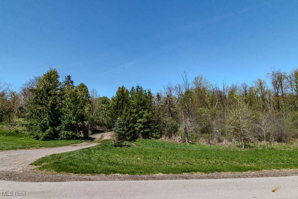 Chagrin Falls, OH 44023,Starbush CT