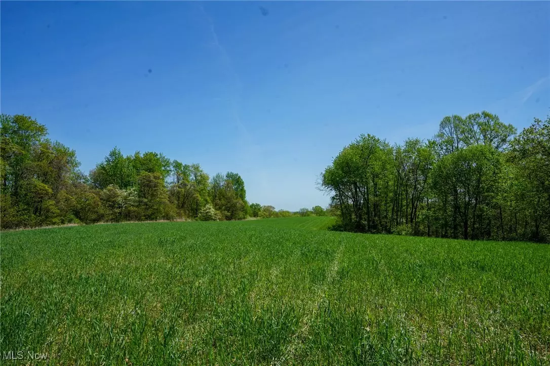 Philo, OH 43771,Sealover Hollow Rd