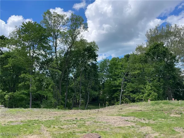 Mentor, OH 44060,9025 Jackson ST