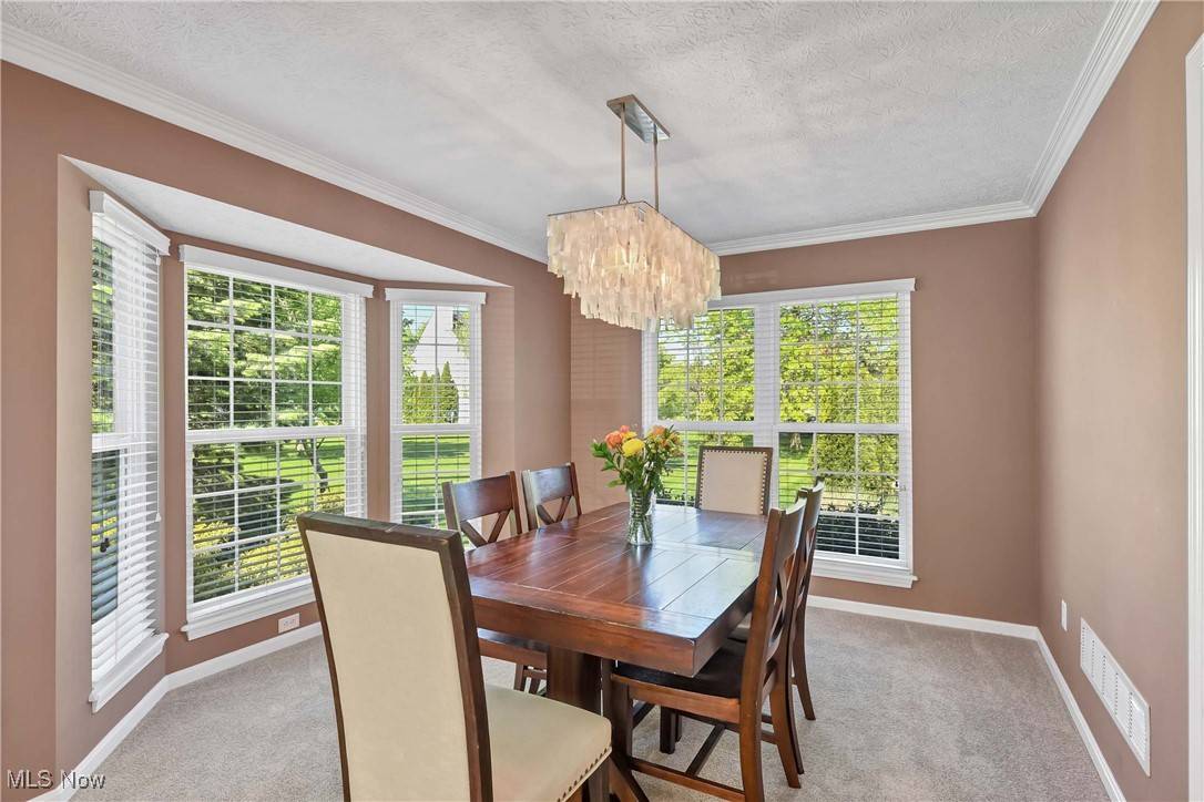 Avon Lake, OH 44012,388 Cascade CT