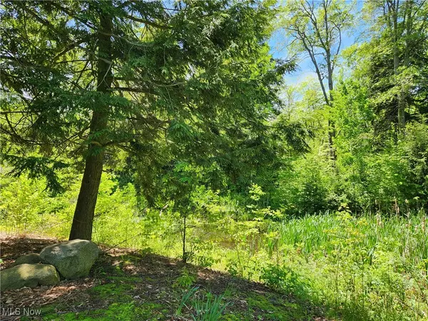 Painesville Twp, OH 44077,VACANT LAND Brakeman RD