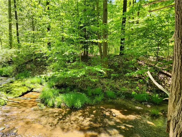 Painesville Twp, OH 44077,VACANT LAND Brakeman RD