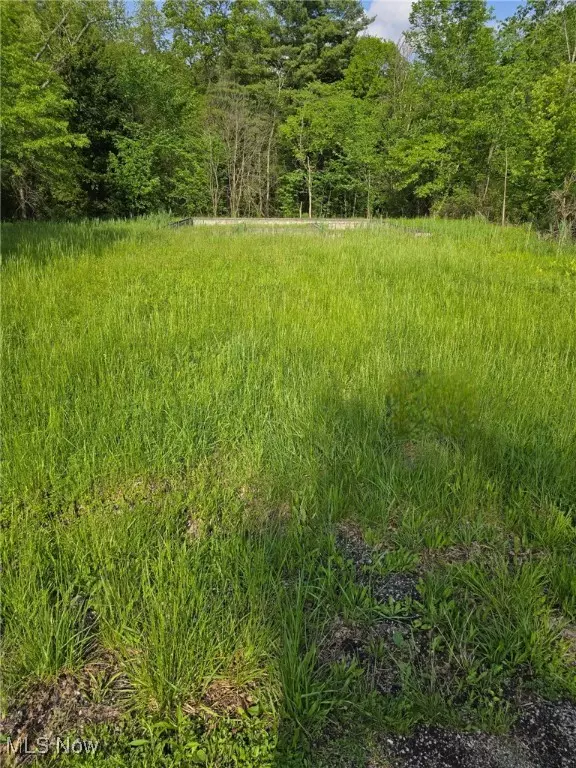 Knoll ST NE, Alliance, OH 44601