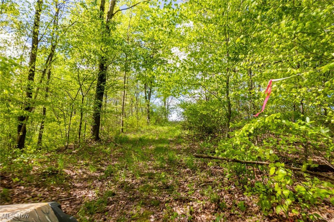 Gnadenhutten, OH 44629,1220 Allgyer RD SE
