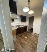 East Cleveland, OH 44112,1217 E 125th. ST