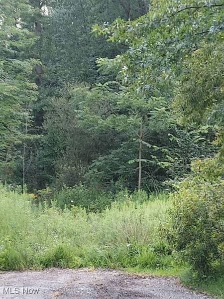 V/L Lundys LN, Lake Milton, OH 44429