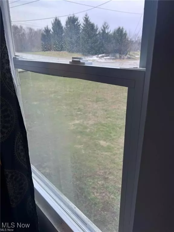 Perry, OH 44081,4505 Lane RD