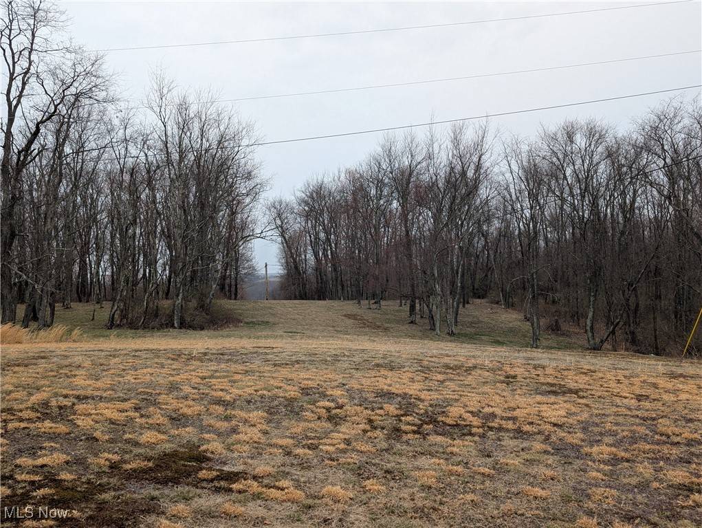 East Liverpool, OH 43920,50364 Carroll RD