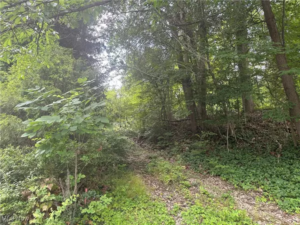 Akron, OH 44303,Belleau Wood DR