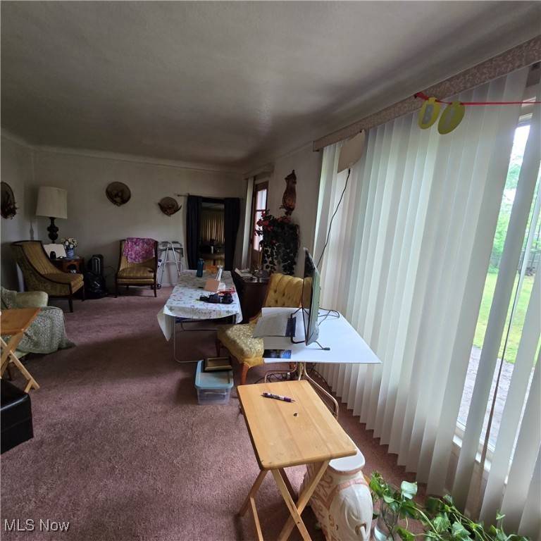 Cleveland Heights, OH 44121,1669 Wood RD