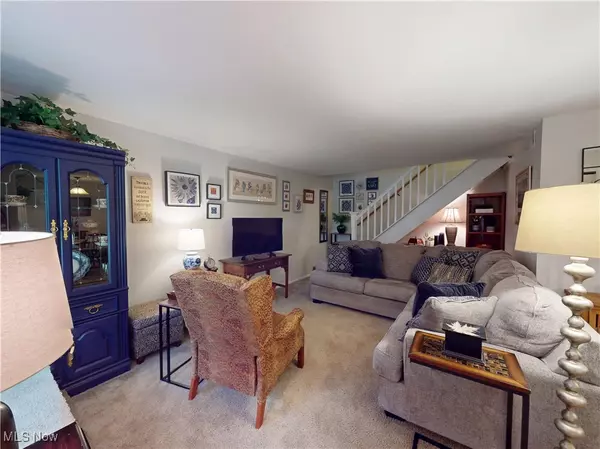 Painesville, OH 44077,1651 Mentor AVE #3002