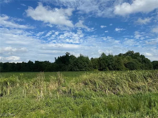 Garrettsville, OH 44231,V/L 3 Fenstermaker RD