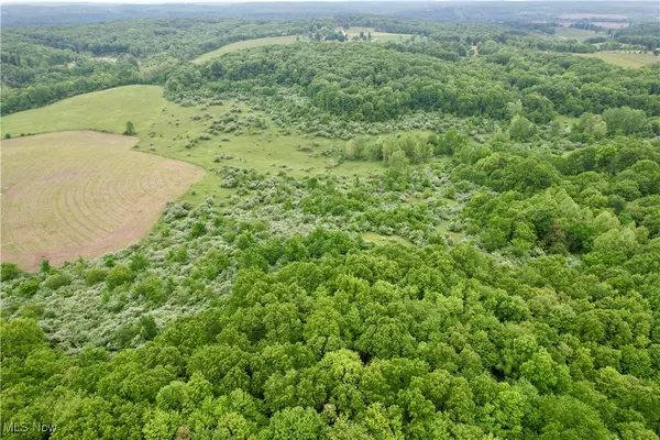 44312 Cream Ridge RD, Lisbon, OH 44432