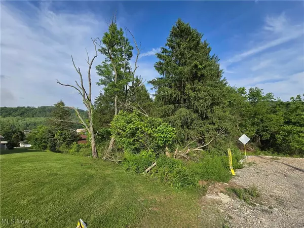 Bridgeport, OH 43912,55560 Poplar AVE