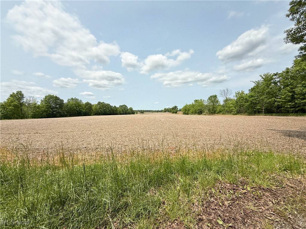 Alliance, OH 44601,Snode ST NE