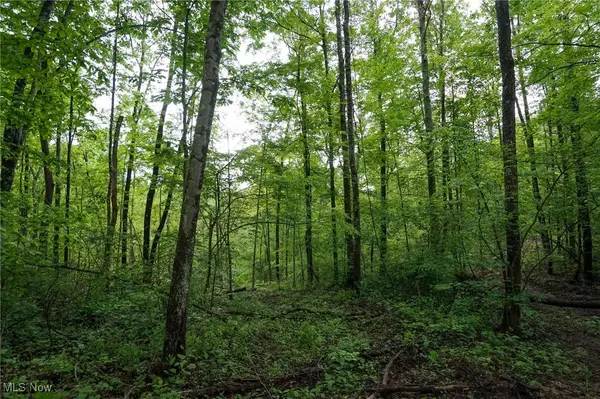 Township Rd 460, Woodsfield, OH 43793