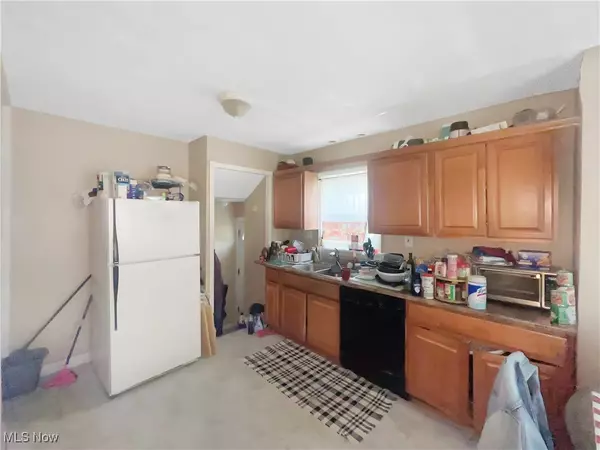 Euclid, OH 44117,1541 E 196 ST