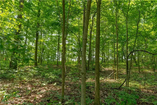 Sullivan, OH 44880,CR 500