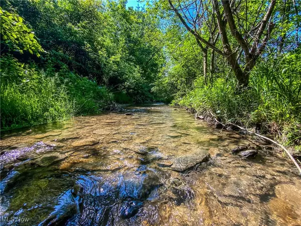 0 Township Rd 472, Amsterdam, OH 43903