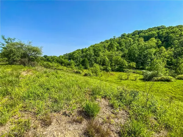 Amsterdam, OH 43903,0 Township Rd 472