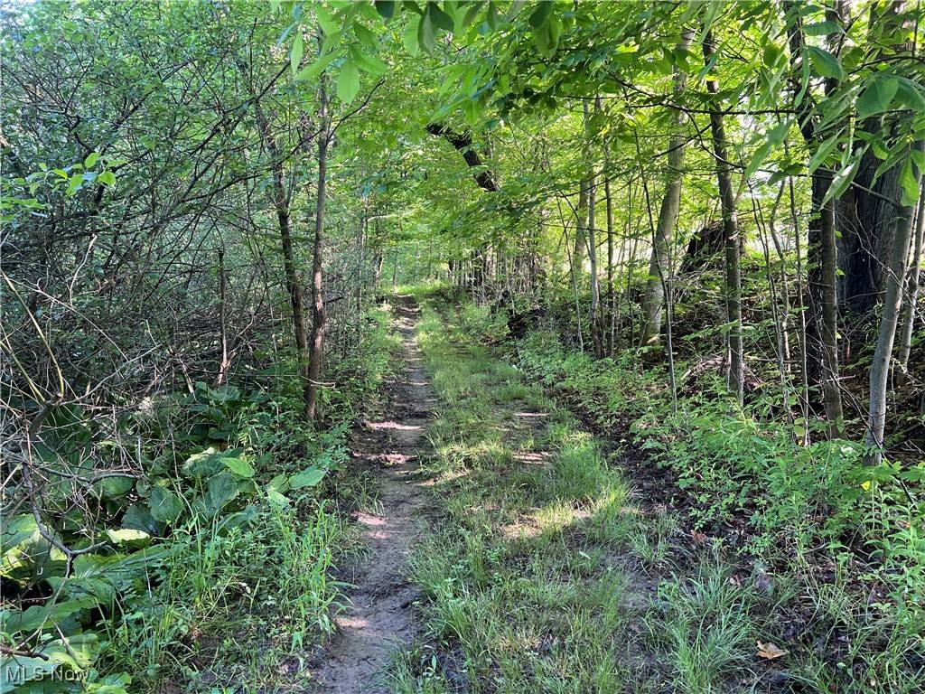 Andover, OH 44003,Orchard ST