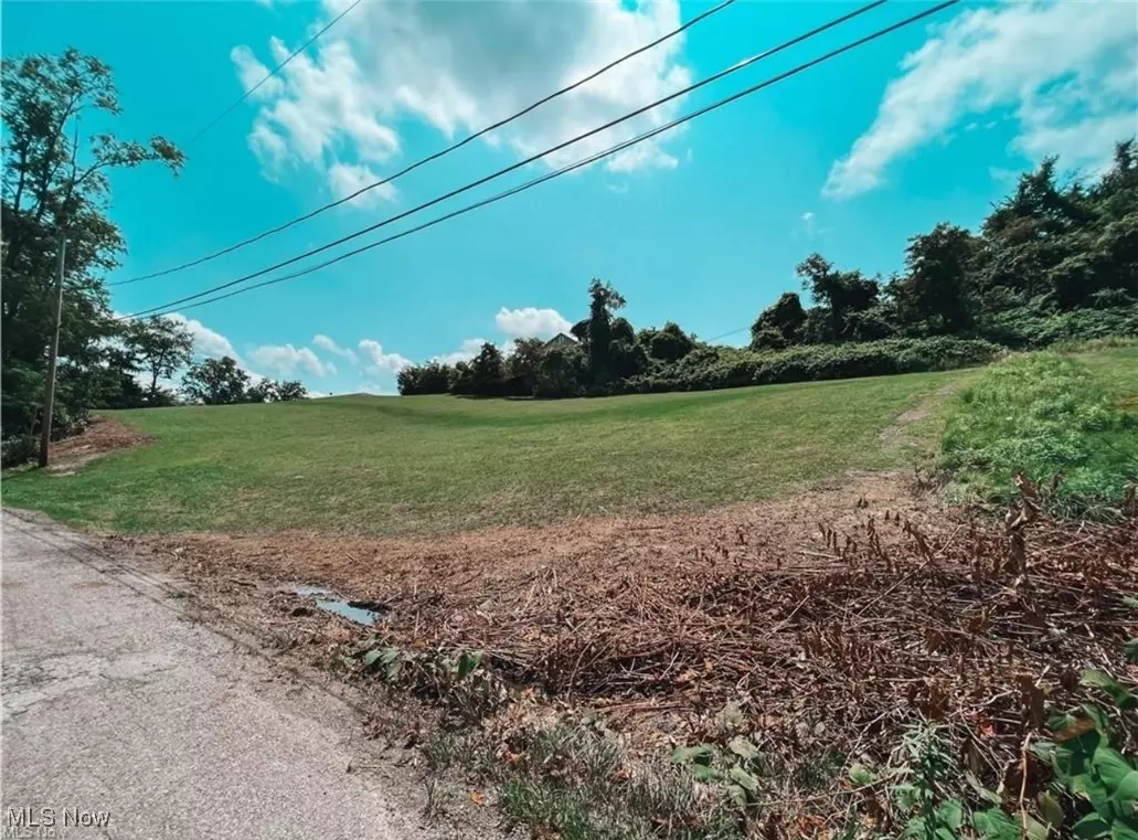 Bridgeport, OH 43912,67620 Kirkwood Heights RD