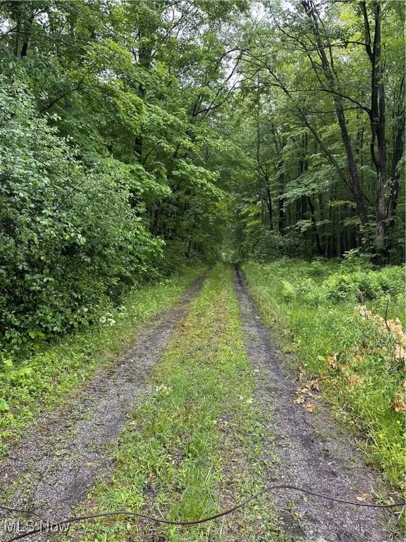 Chardon, OH 44024,9161 Robinson RD