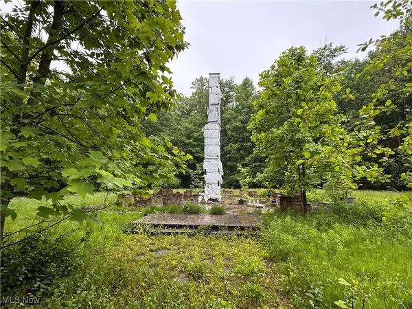 Chardon, OH 44024,9161 Robinson RD