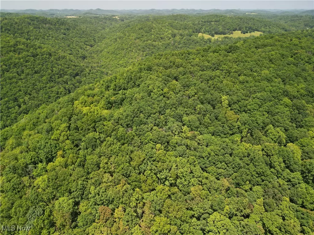 WV 25113,1885 Blue knob RD