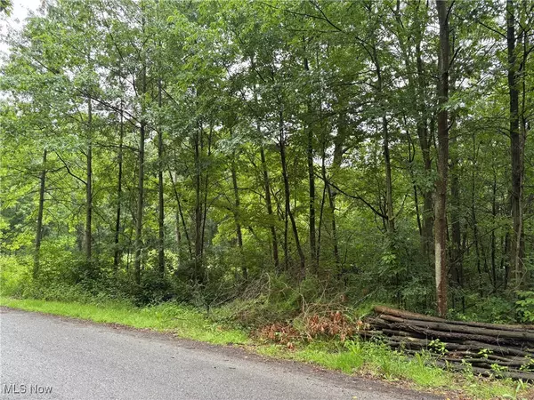 Akron, OH 44312,2077 Coleman AVE