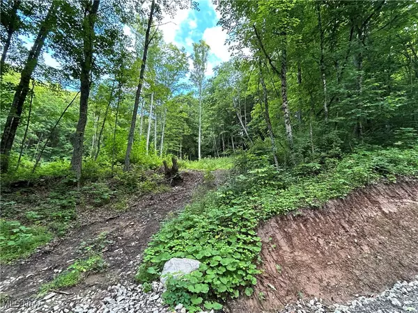 Caldwell, OH 43724,50530 Wargo RD