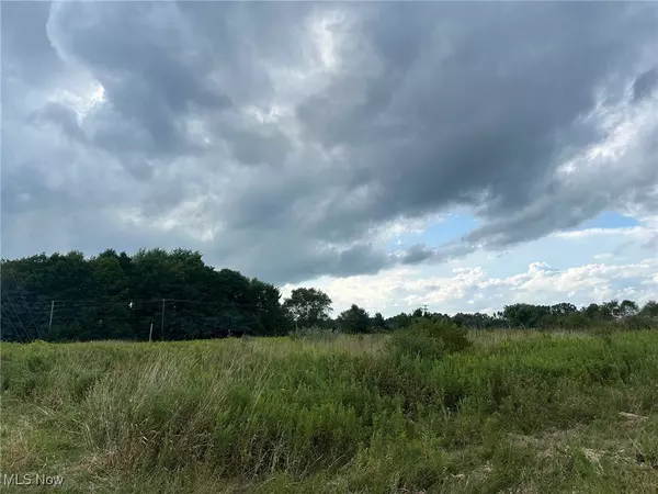 Garrettsville, OH 44231,V/L 4 Fenstermaker RD