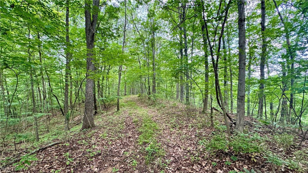 Noble Hill Rd, Pleasant City, OH 43772