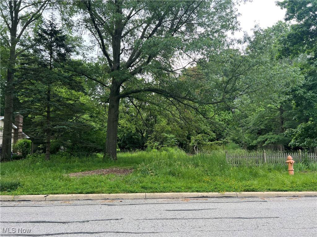 Colony DR,  Oberlin,  OH 44074