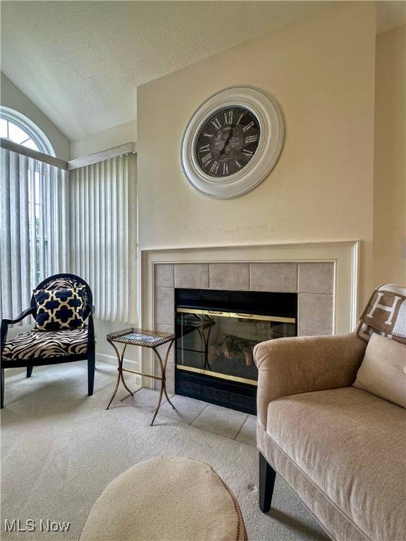 Warren, OH 44483,203 Willow Brook DR NE