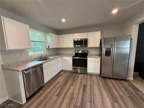 Painesville, OH 44077,113 Palm CT