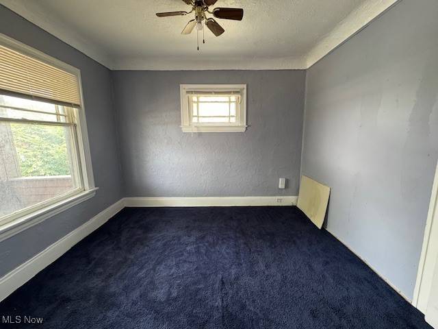 Cleveland, OH 44120,11908 Parkhill AVE