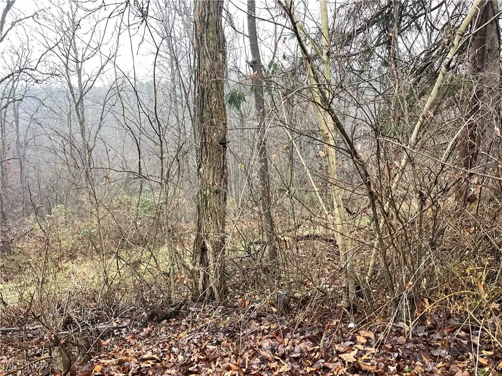 Washington, WV 26181,16 Woodcliff Acres
