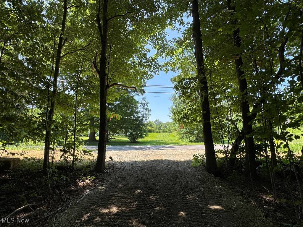 Madison, OH 44057,V/L 3 Wood RD