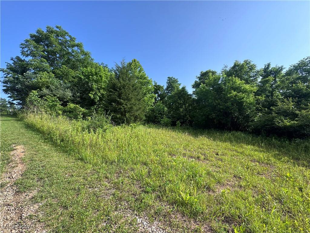 Mcconnelsville, OH 43756,10170 Pierson LN