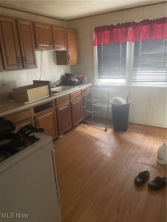 Cleveland, OH 44111,14128 Lakota AVE