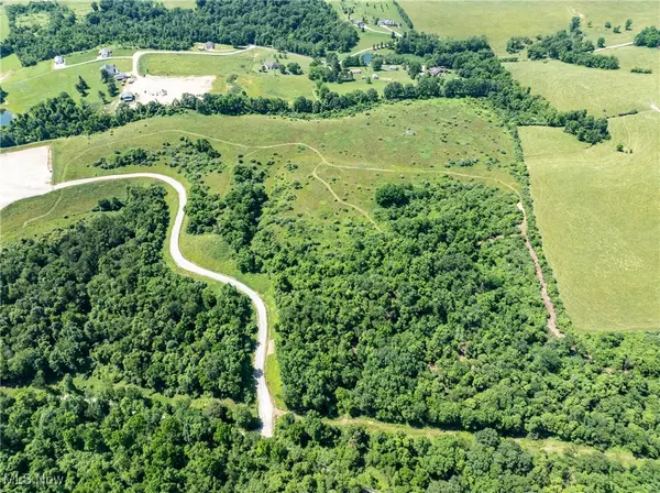 Belmont, OH 43718,35 acres Saffell RD