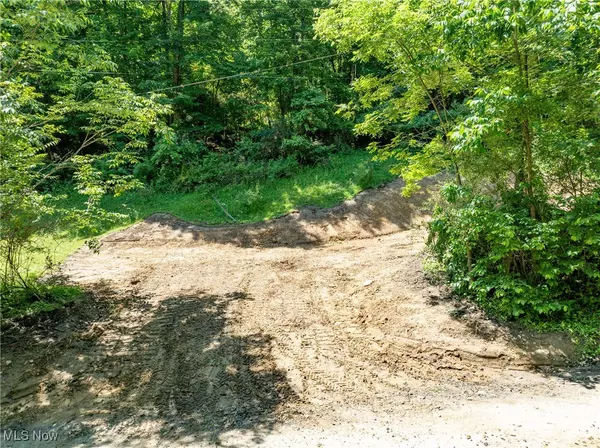 Belmont, OH 43718,15 acres Saffell RD