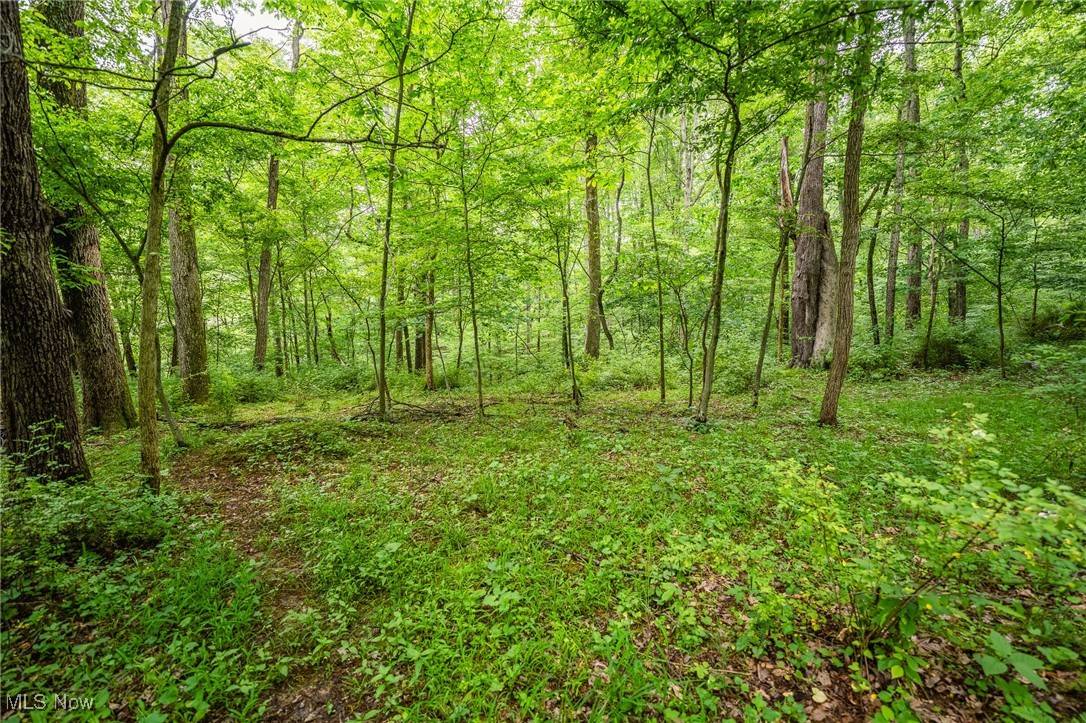6991 Township Road 555, Holmesville, OH 44633